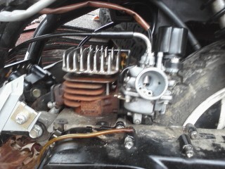 The uncovered carb and cyl. head WITH NO PLUG. *